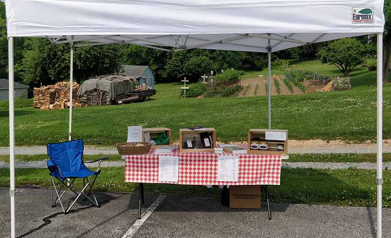 Beef Market Stand